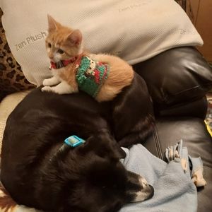 Meet your Posher, Nina